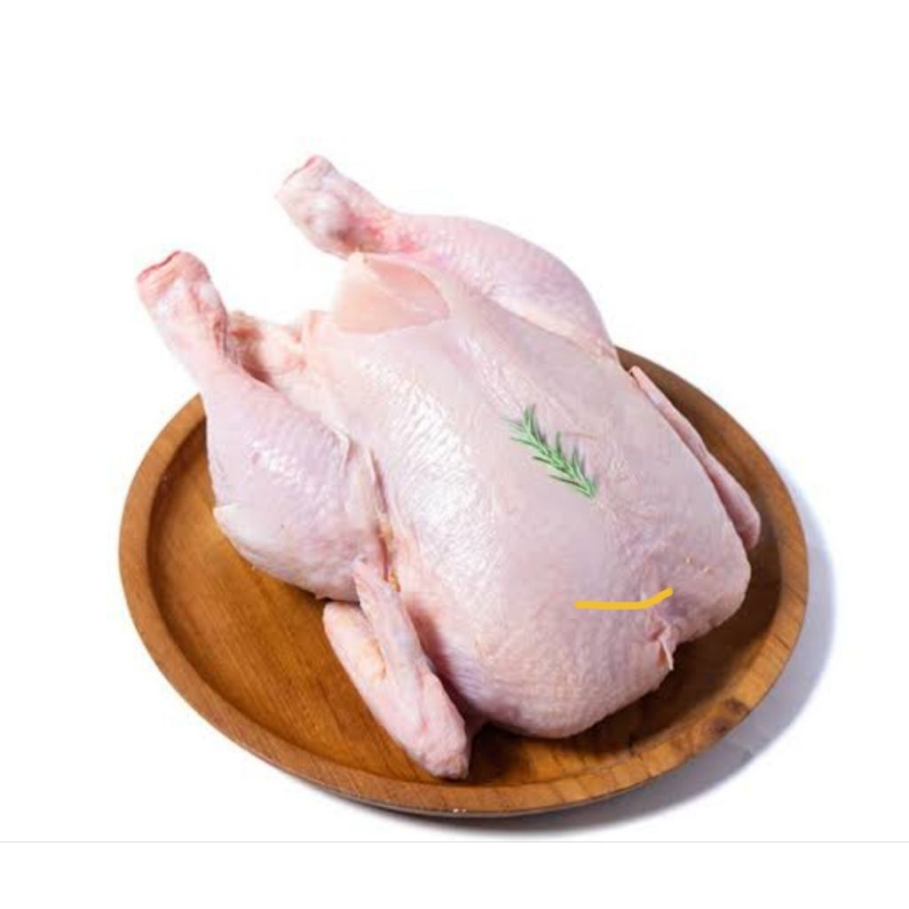 

Ayam Potong Segar ukuran 1,2