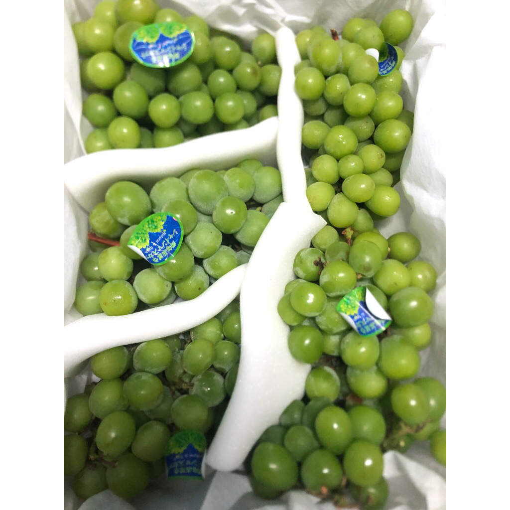

Anggur Shine Muscat China Myfruit /kg