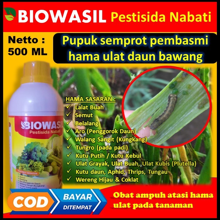 BIOWASIL Pestisida Nabati Pupuk ampuh Atasi hama ulat pada daun bawang Pupuk pembasmi ulat tanaman