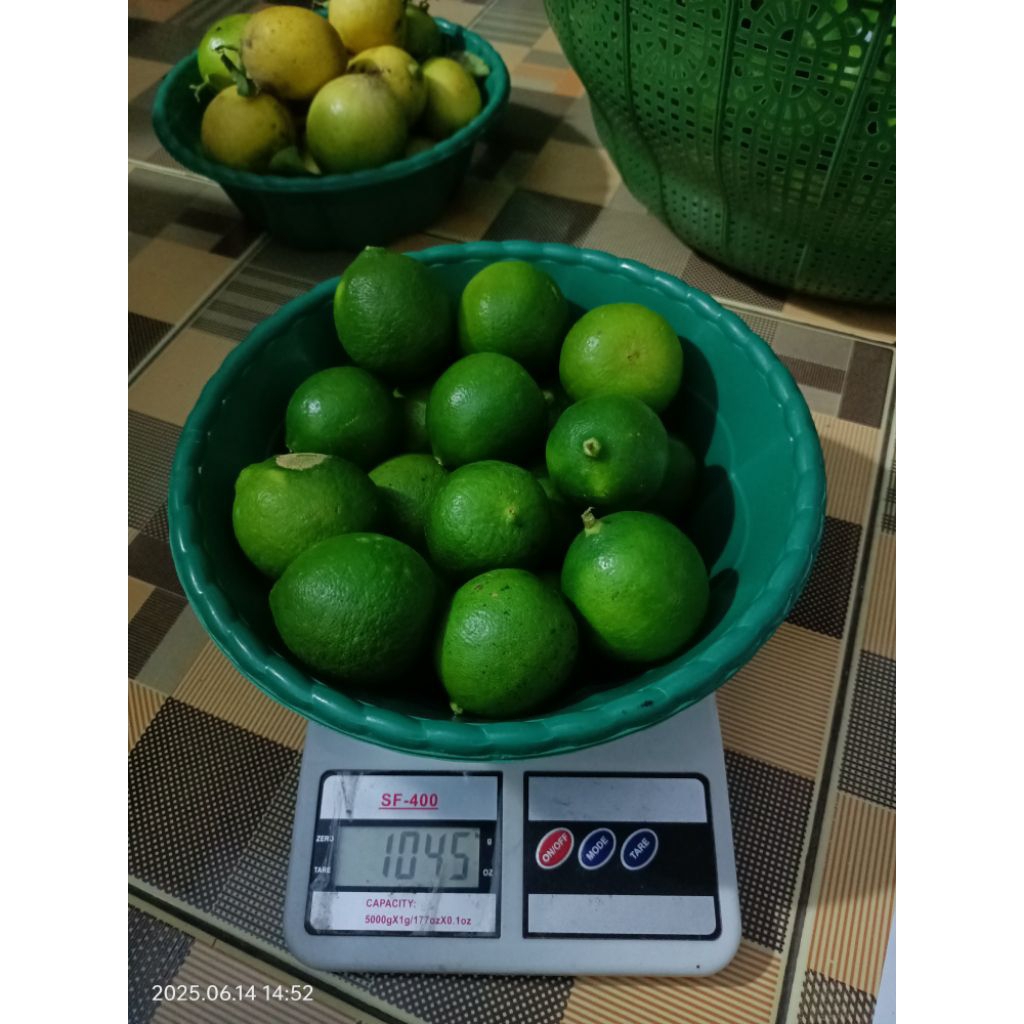 

JERUK NIPIS || HARGA 1KG || ES KUWUT, SOTO, ES JERUK || FRESH 100% ||