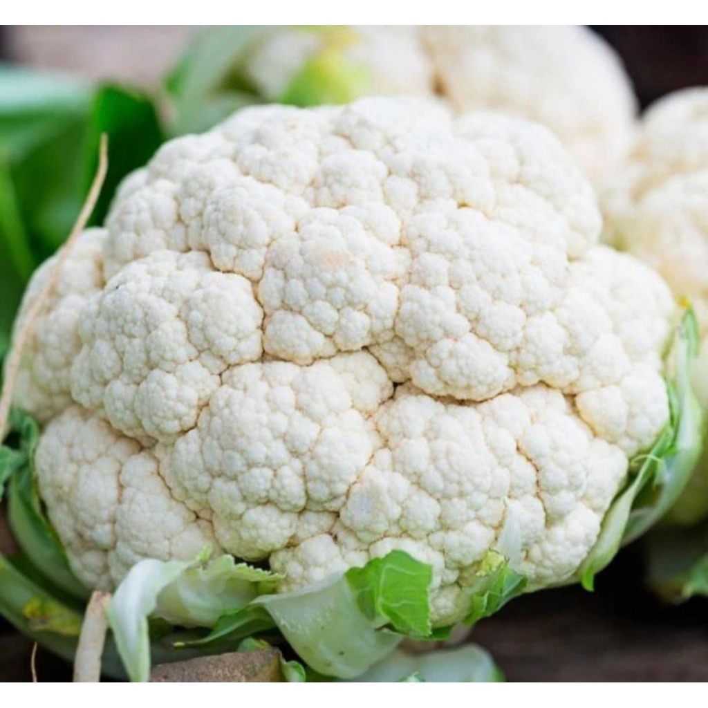 

Cauliflowers Import Australia / Kembang kol import -+800 gr / Pc