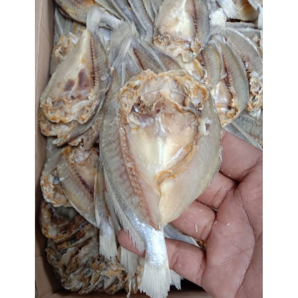 

Ikan Asin Kepala Batu Khas Labuhan Maringgai 500 Gram