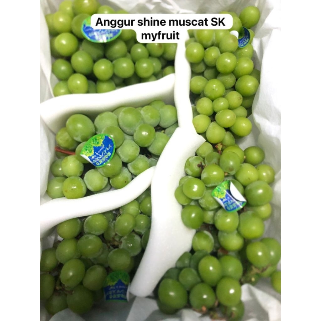 

anggur shine muscat SK myfruit/kg