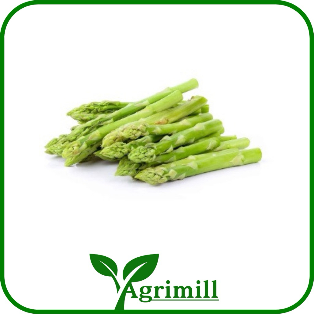 

Asparagus Per Ikat Segar