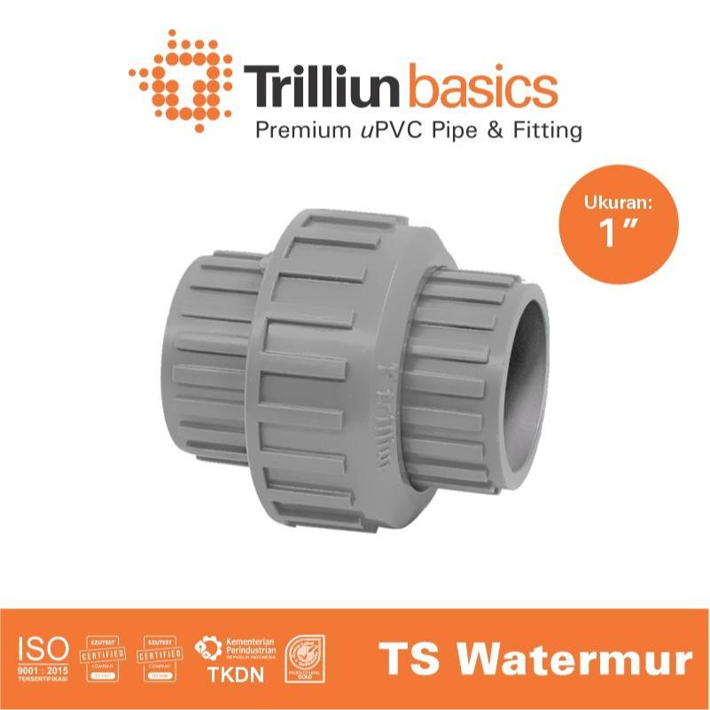 Fitting Pipa uPVC Trilliunpureflo Water Mur Socket Double Drat 1" Inch