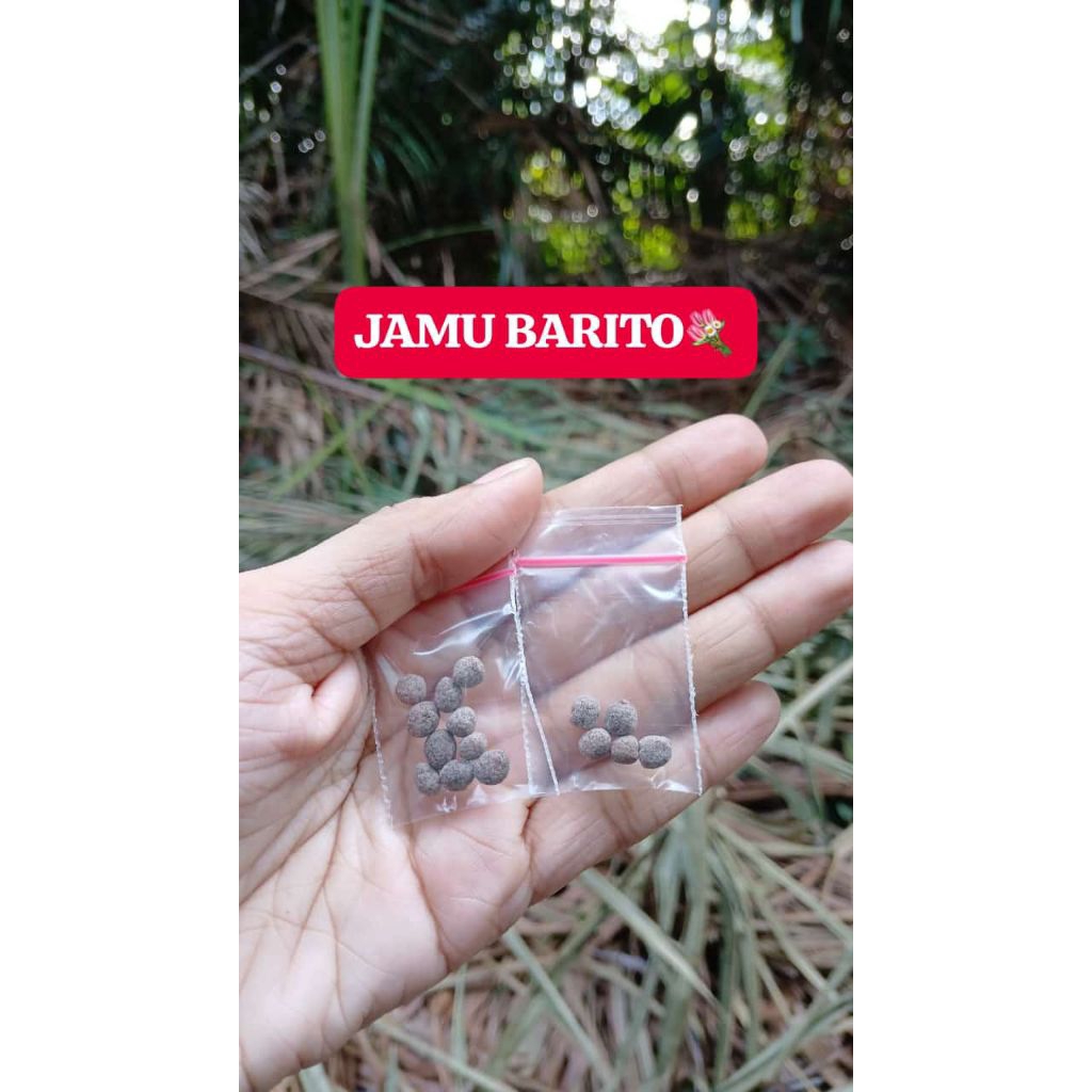 

JAMU BARITO ORI