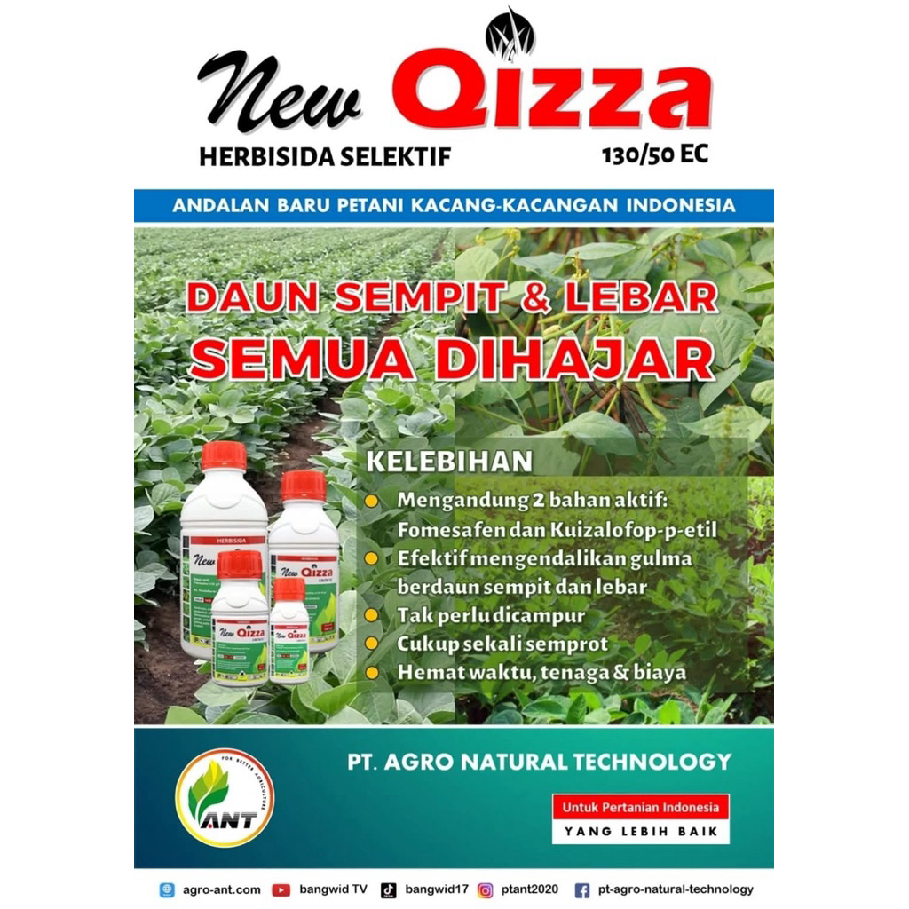 NEW QIZZA 130/50 EC 100ml HERBISIDA DAUN LEBAR & SEMPIT KACANG IJO CABAI TEMBAKAU sama LIDING AGIL R