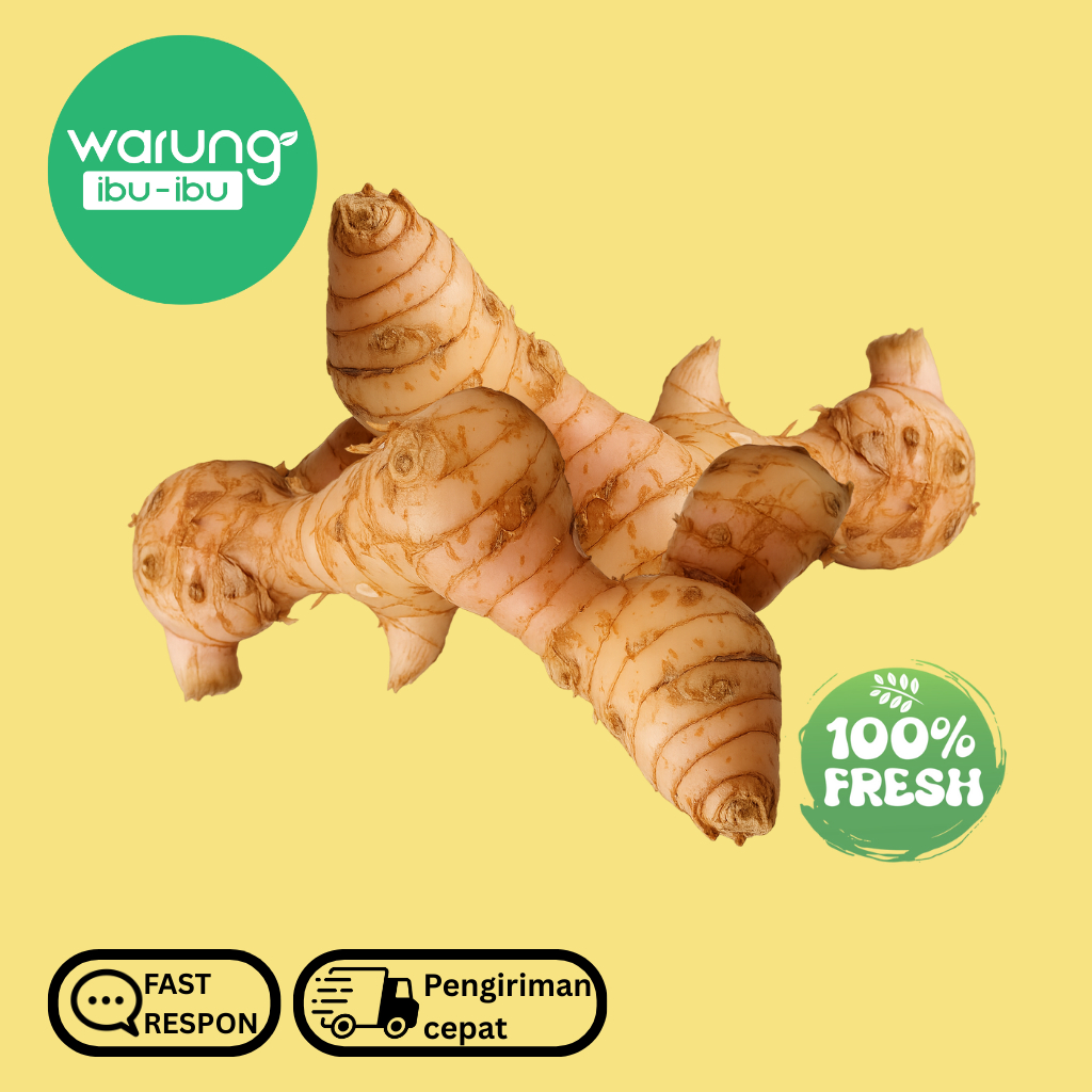 

Lengkuas (Laos) Fresh Segar