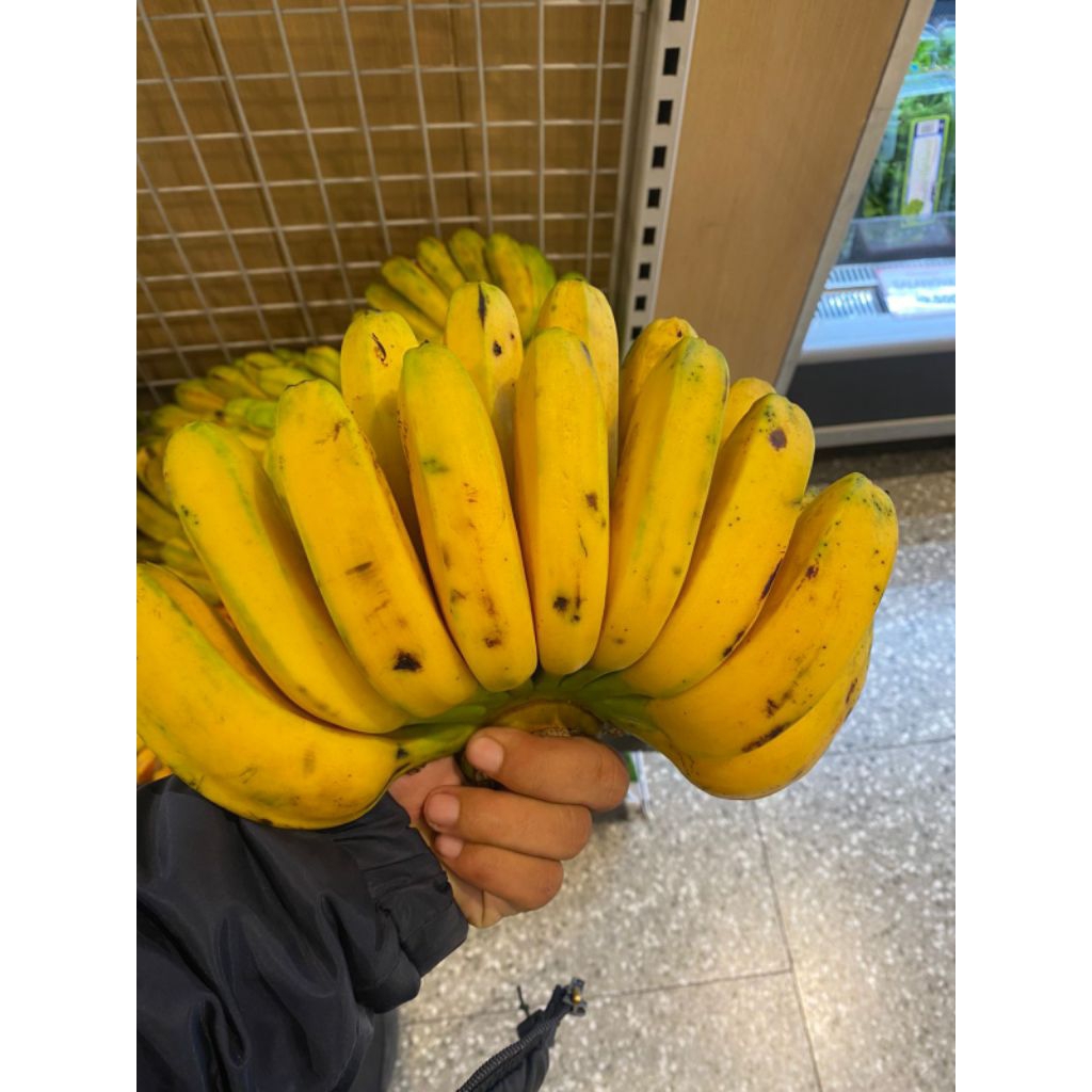 

Buah pisang kepok Australia super fresh 1 sisir