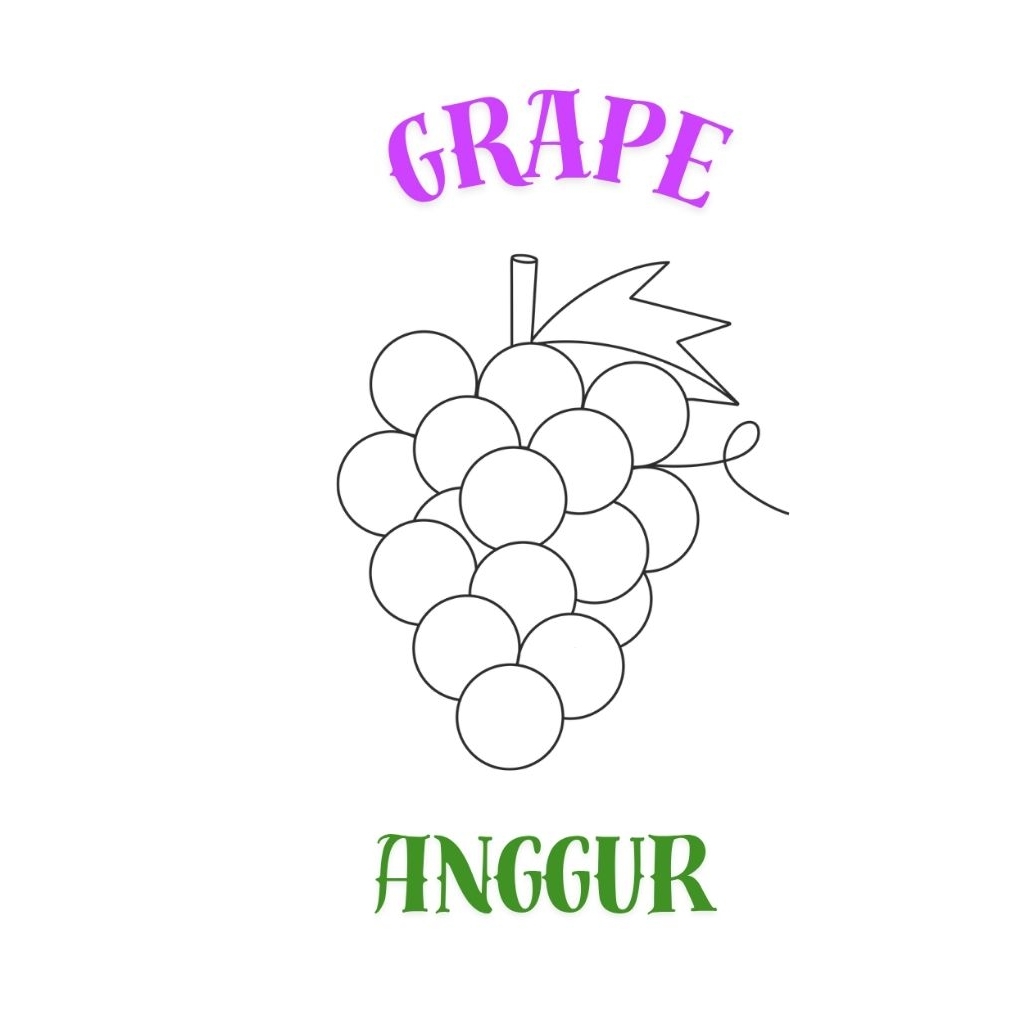

[5pcs] Gambar mewarnai dan mengenal buah coloring lucu anak 2 sisi