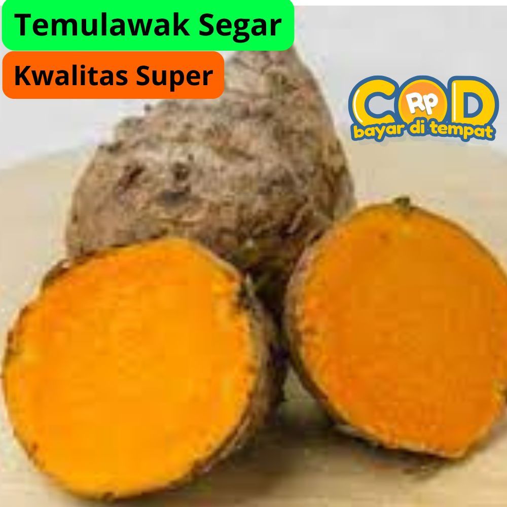 

Temulawak Segar pilihan Super 1kg obat lambung jamu herbal obat magh