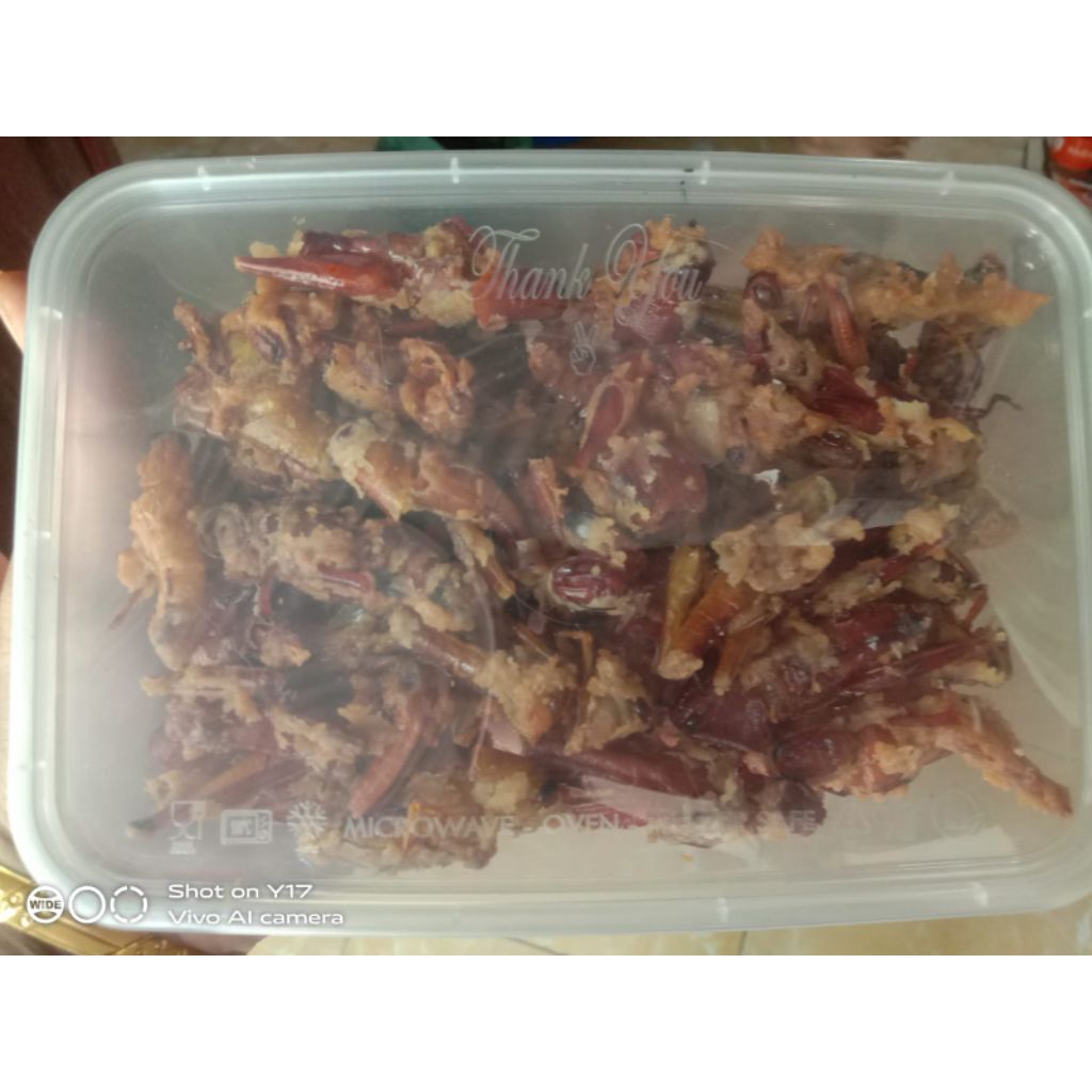 

BELALANG KAYU GORENG CRISPY ISI 100 GRAM
