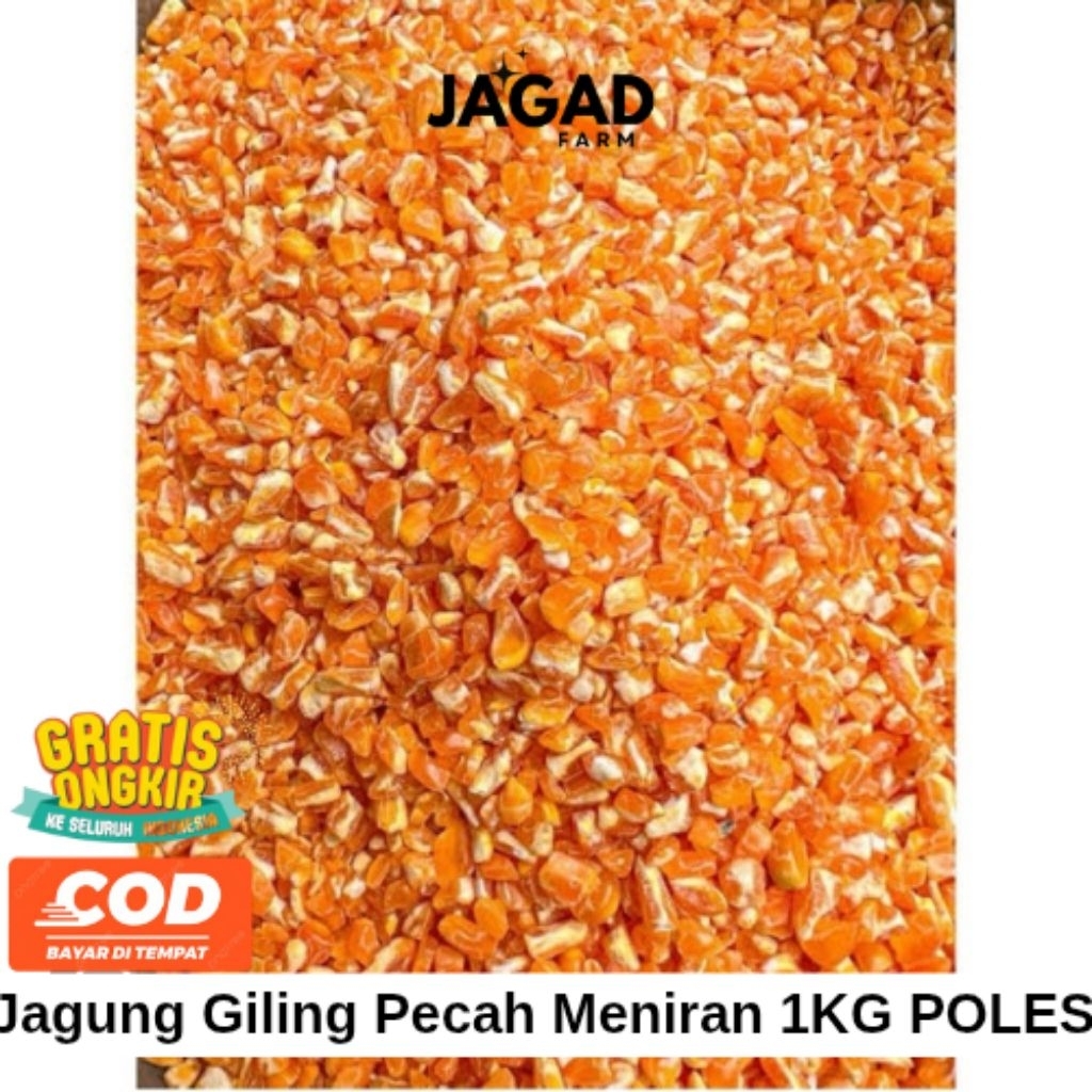 

JAGUNG GILING PECAH MENIRAN 1KG BERSIH POLES SUPER