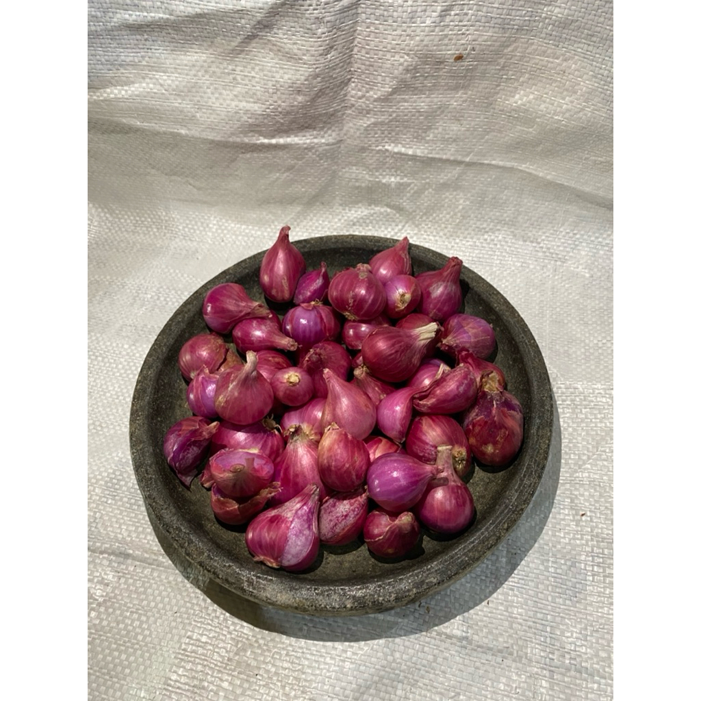 

Bawang merah tanggung super asli Probolinggo