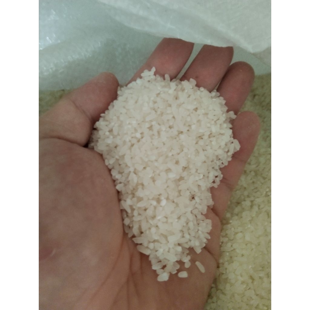 

Beras Permaisuri TOBA Untuk Lontong / Kue Kemasan 500GR