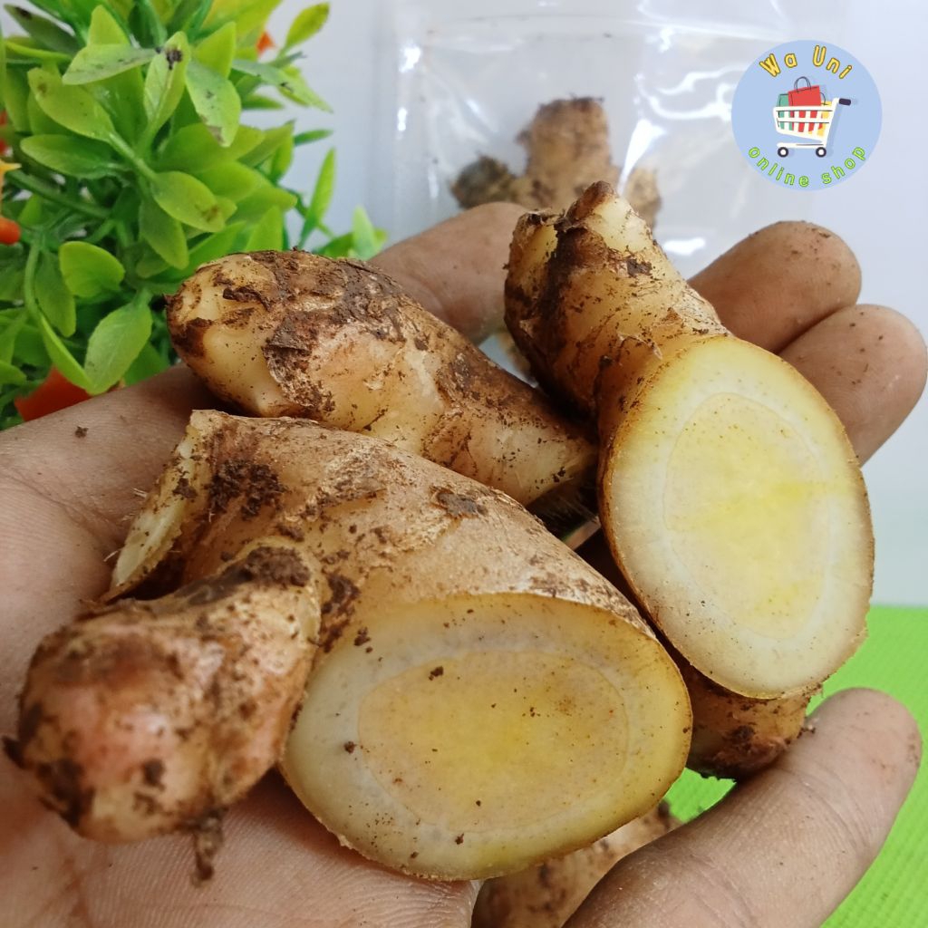 

jahe putih segar 250 gram - bumbu dapur - rempah - herbal - penyedap
