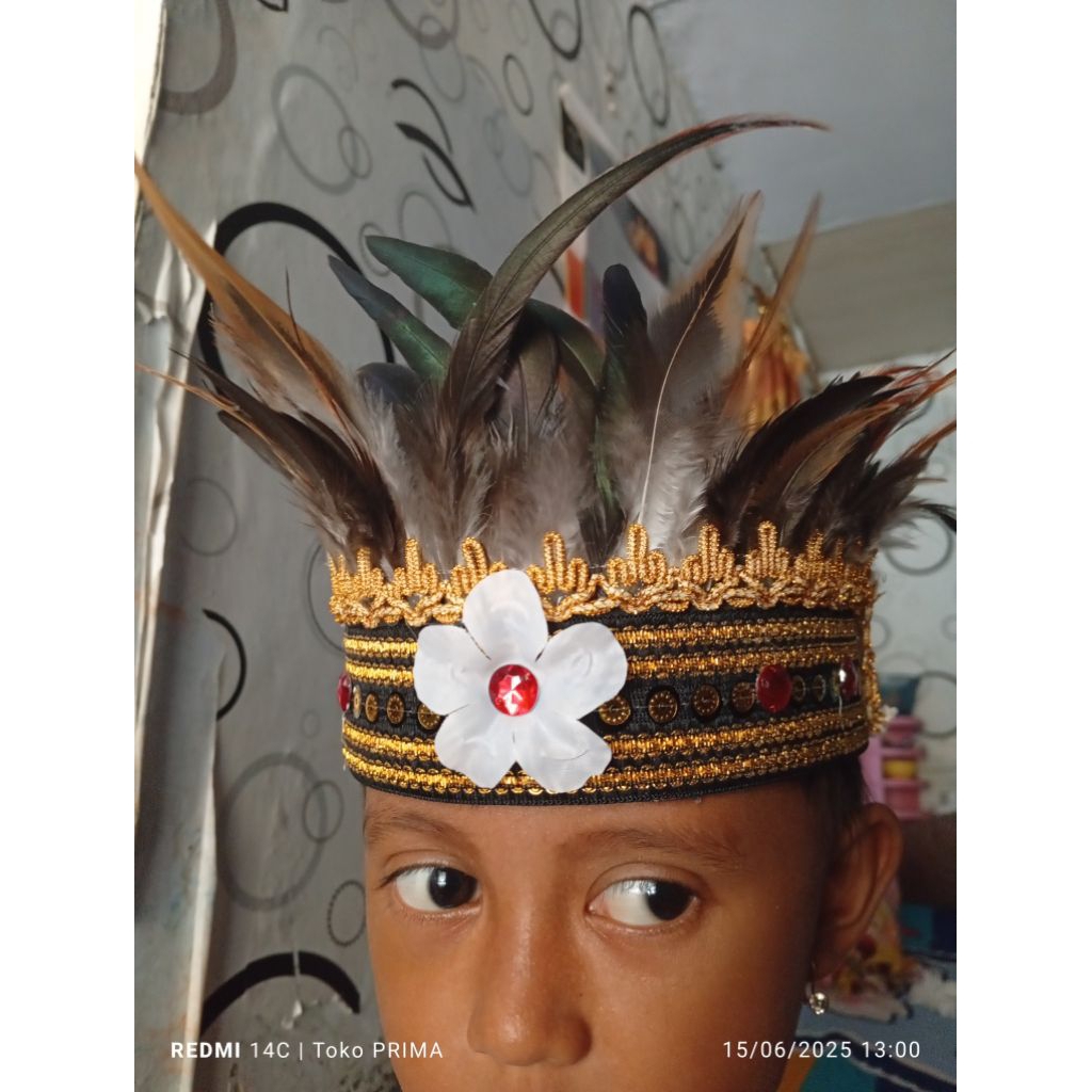 mahkota bulu suku Dayak