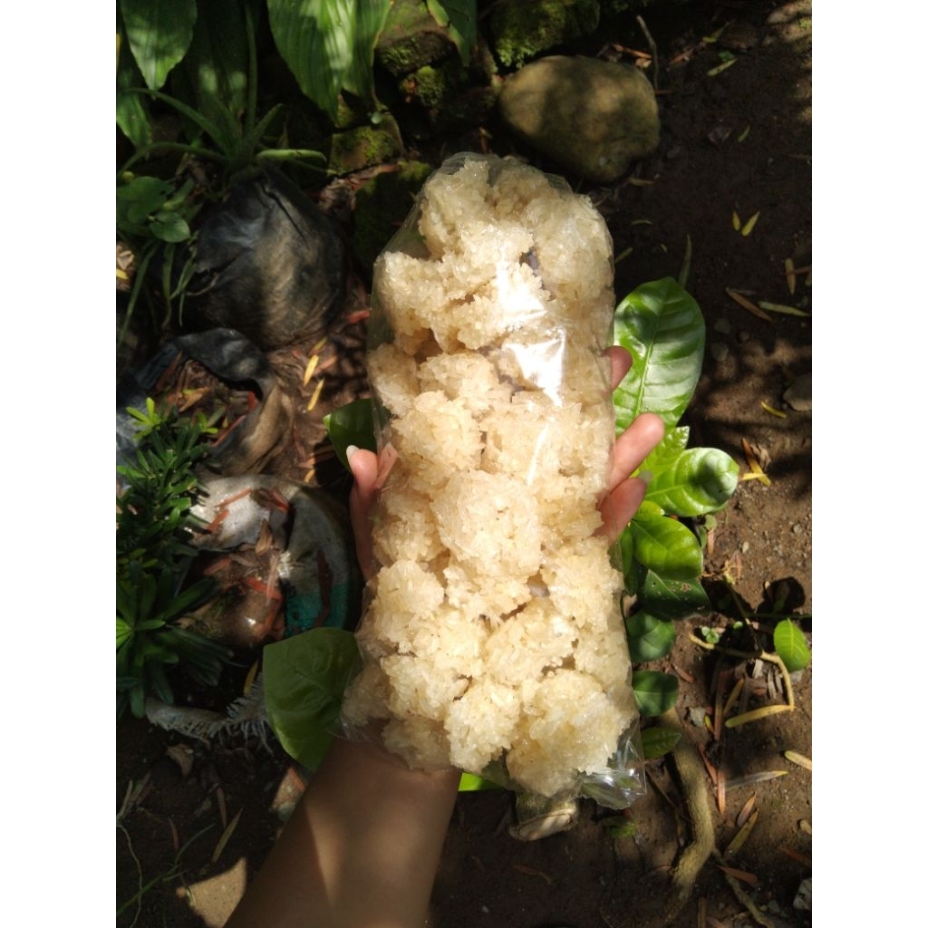 

Rengginang bawang khas trenggalek