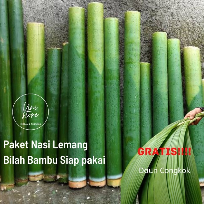 

Paket Nasi Lemang- Batang Bambu Siap Pakai Lengkap dengan Daun Congkok