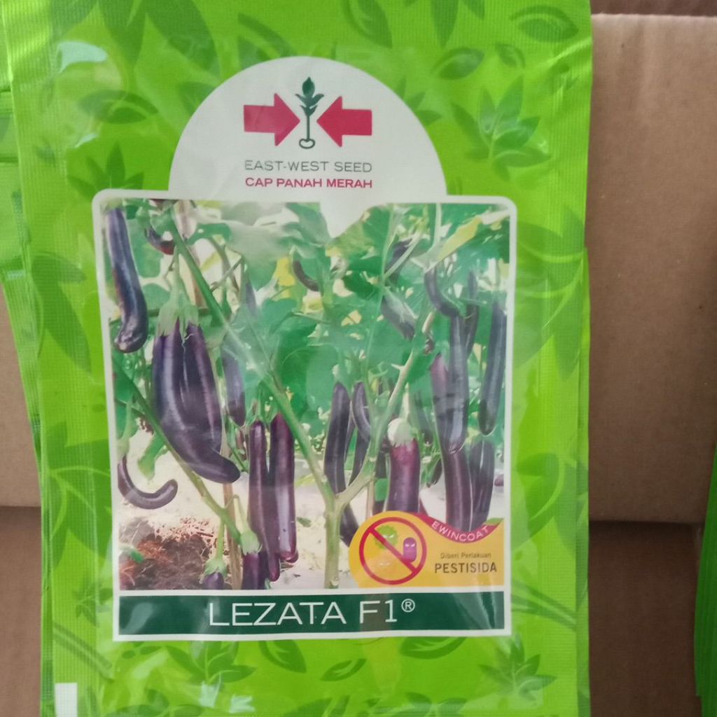 terong ungu lezata f1