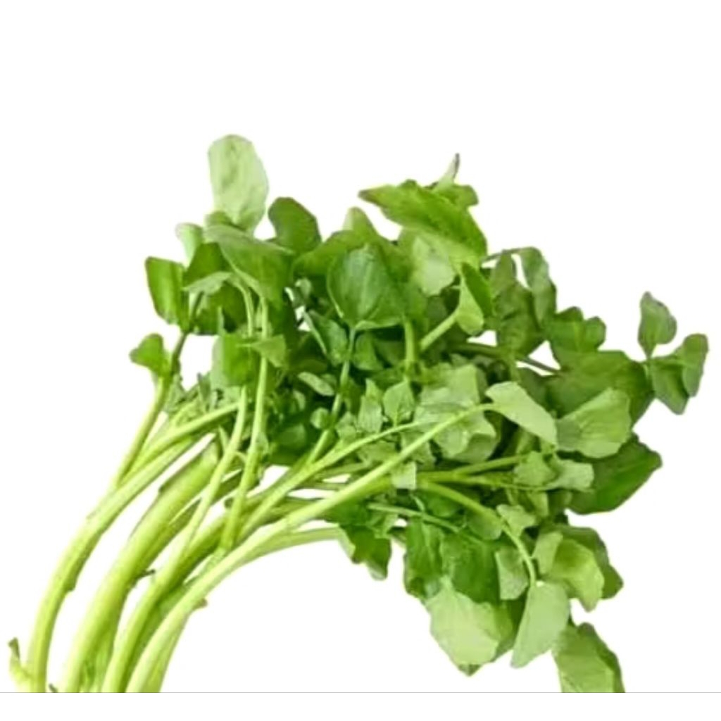 

watercezz/selada air segar 300gr