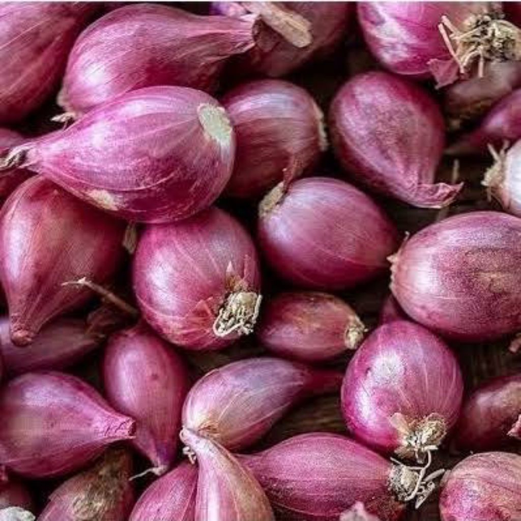 

Bawang Merah Brebes 500gram