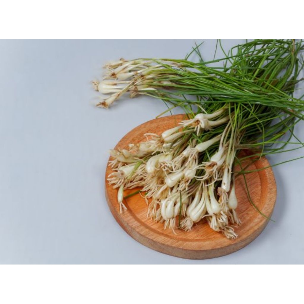 

Bawang Batak /bawang kucay segar fresh kemasan 250gram