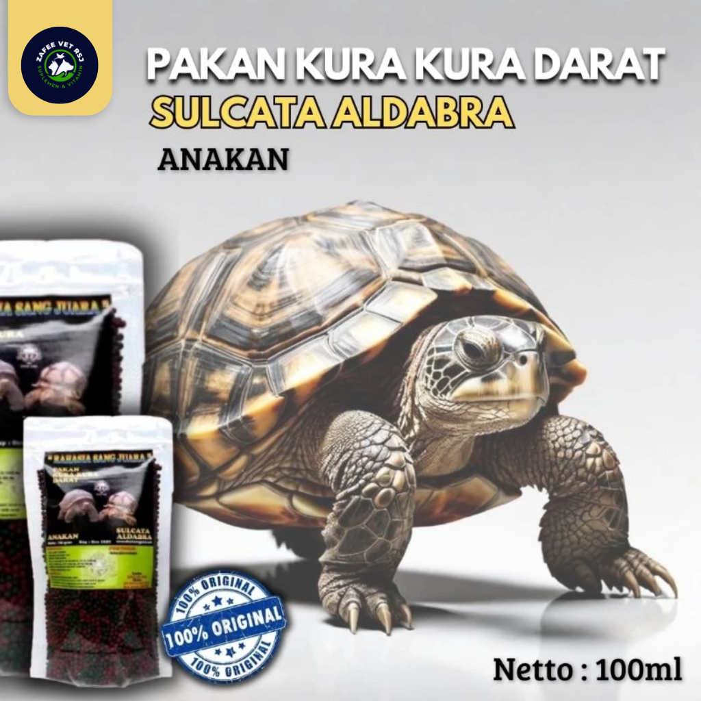 PAKAN Kura Kura SULCATA ALDABRA Anakan 100gr