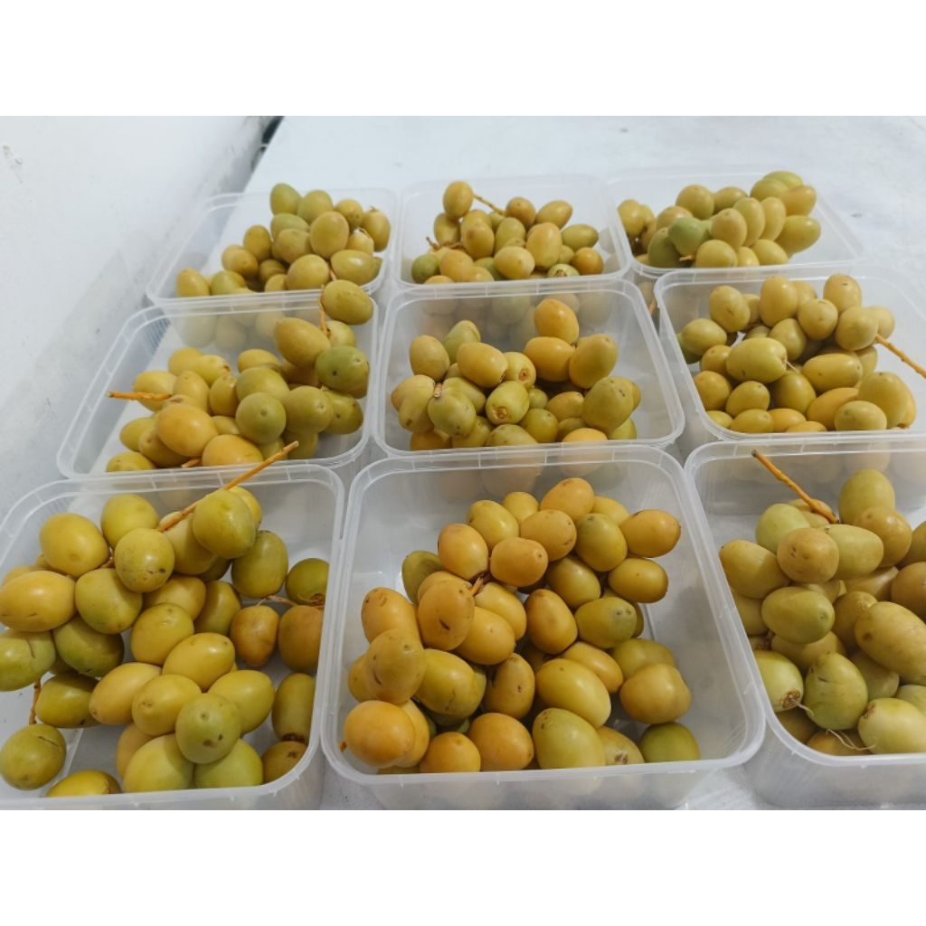 

kurma muda kemasan 500 Gram