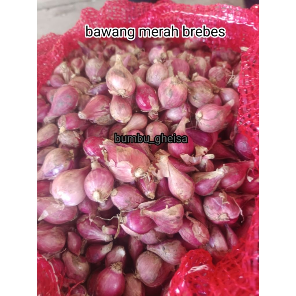 

bawang merah brebes 1kg