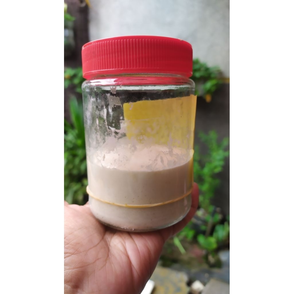 

Starter sourdough segar 100gr