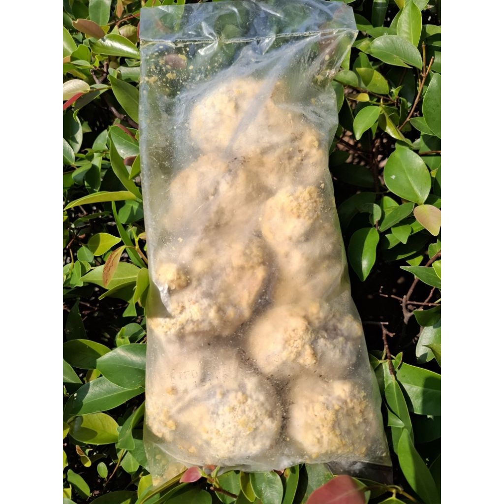 

Fried Chicken Ayam Goreng Tepung Krispy