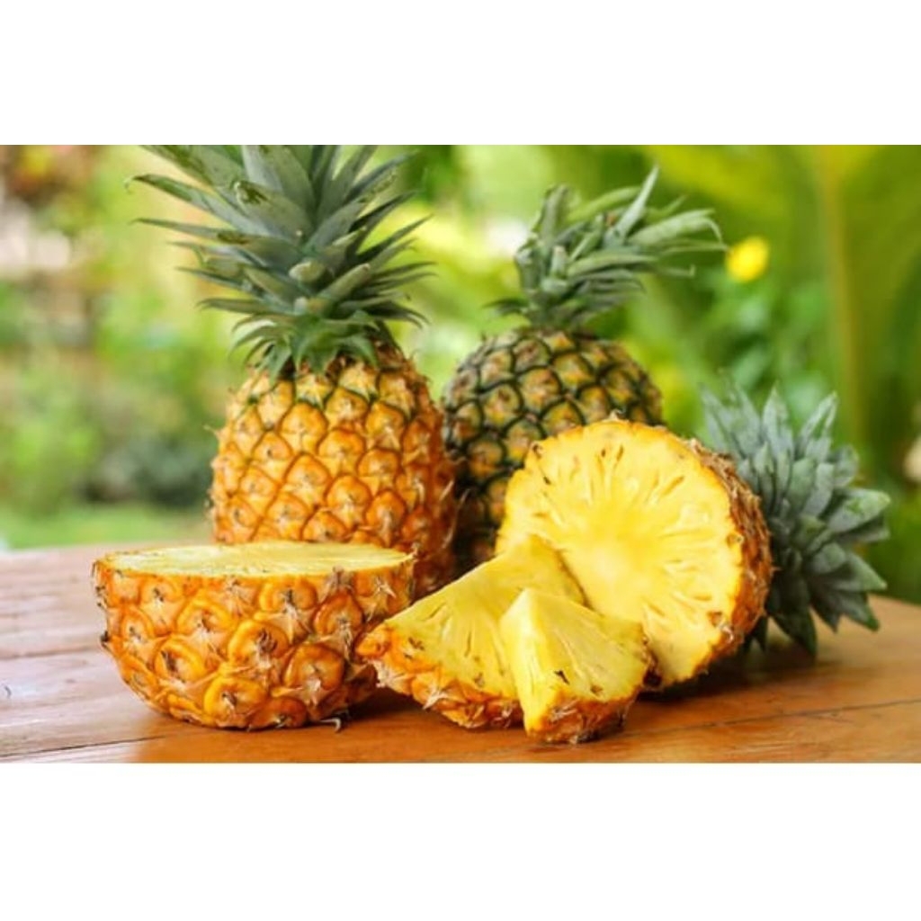 

nanas isi 20