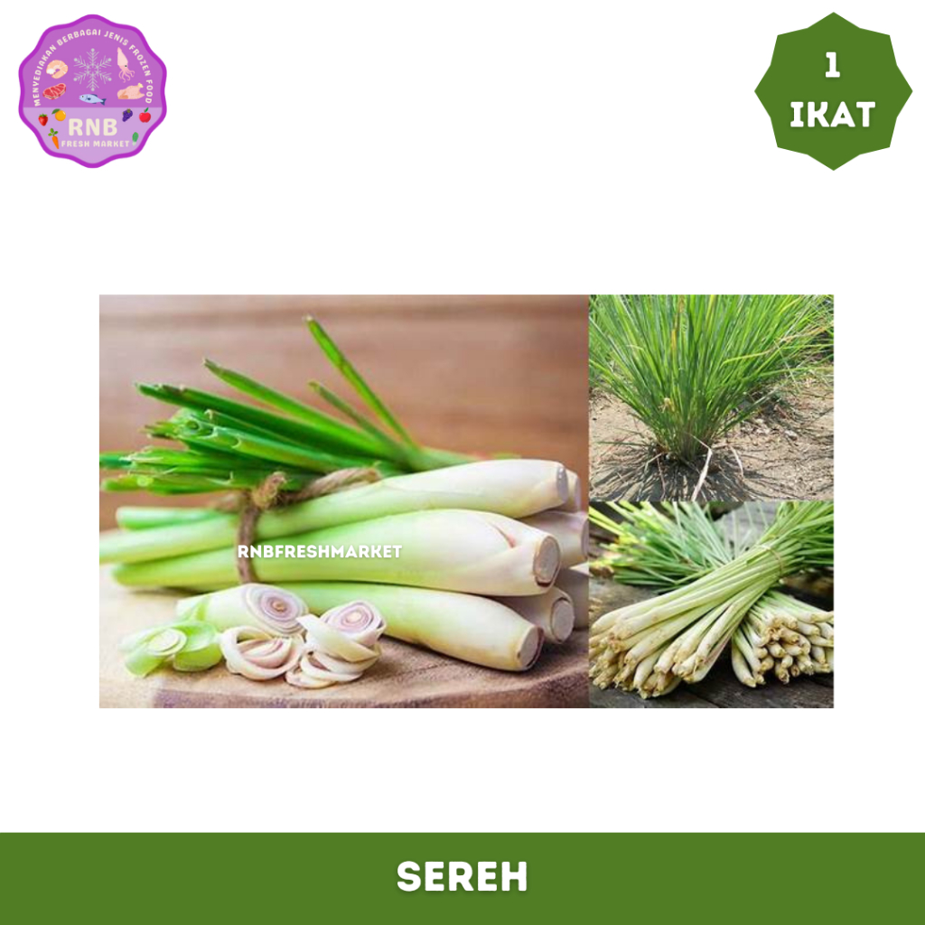 

Sereh (cymbopogon citratus) 1 Ikat