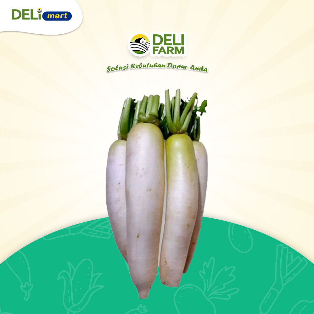 

Deli Mart [Khusus INSTAN Medan] Lobak Putih Segar by Deli Farm