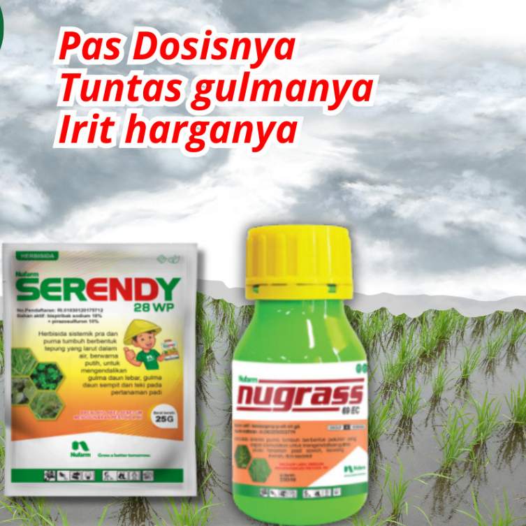 Paket 1/2 Ha Serendy + Nugrass Paket Obat Rumput Ampuh Untuk Tanaman Padi