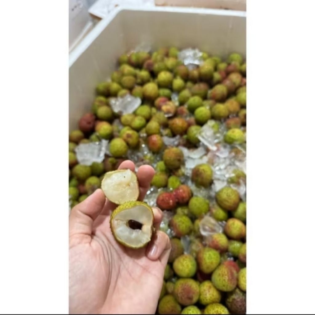 

Leci Madu Hijau Segar 250gr