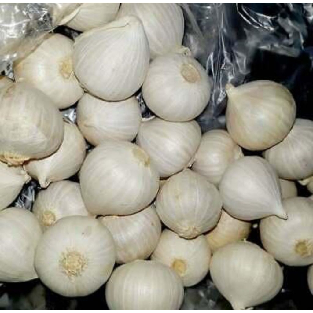 

Bawang Putih Tunggal Premium Quality _ Fresh Berkualitas _ 100gr