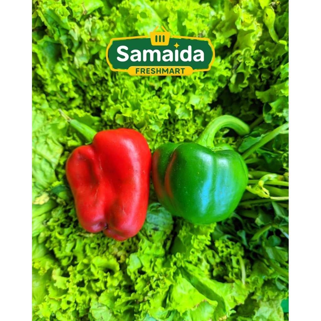 

Paprika Segar 3 pcs Murah Bersih Segar