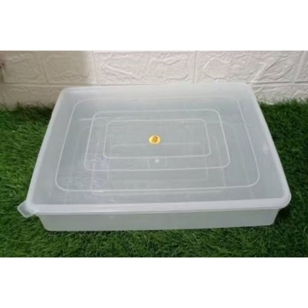 Kotak donat GM II/kotak donat tipis/kotak durian/kotak makanan plastik serbaguna b