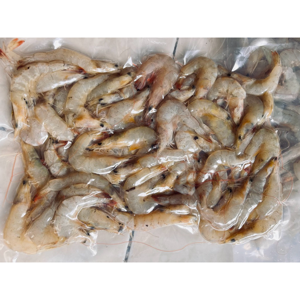 

Udang ukuran sedang 250 gr(frozen)