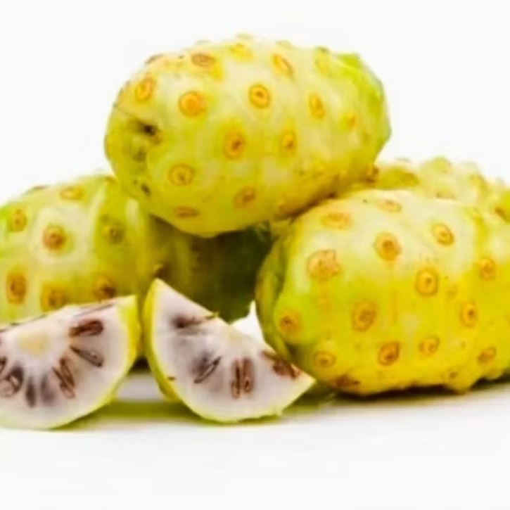 

Buah Mengkudu Segar 100% Original untuk Herbal