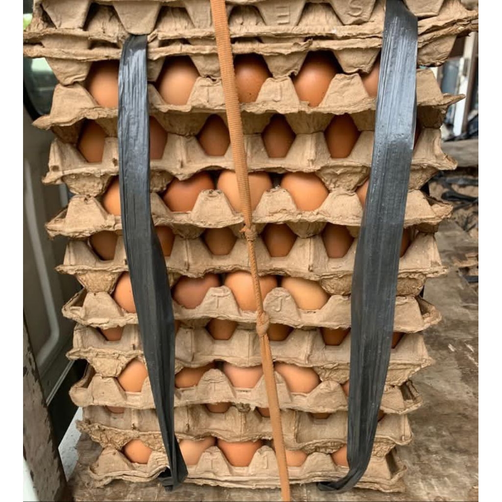 

TELUR AYAM NEGERI GRADE A ISI 10 KG
