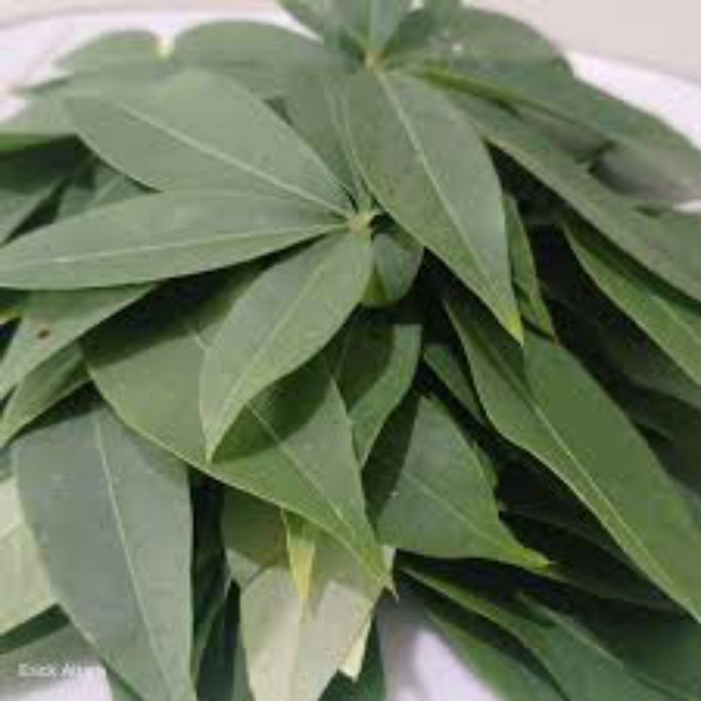 

daun randu segar pres 500grm asli
