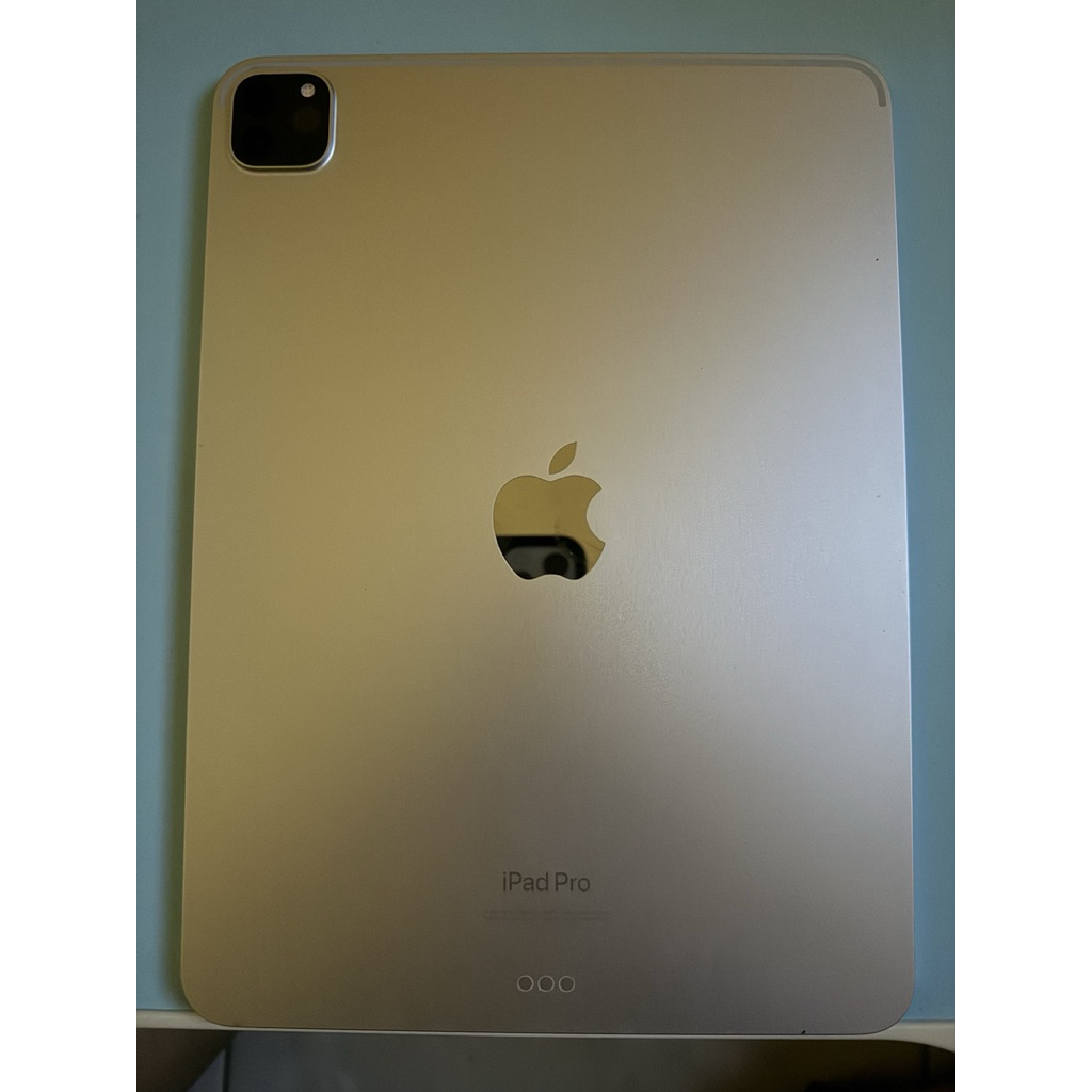 iPad Pro M2 256GB Wifi only(inter) warna Silver
