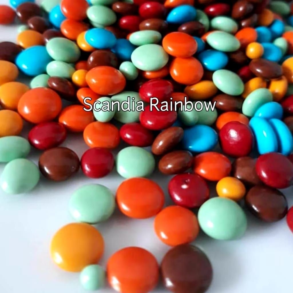 

SCANDIA MINI RAINBOW KILOAN MURAH