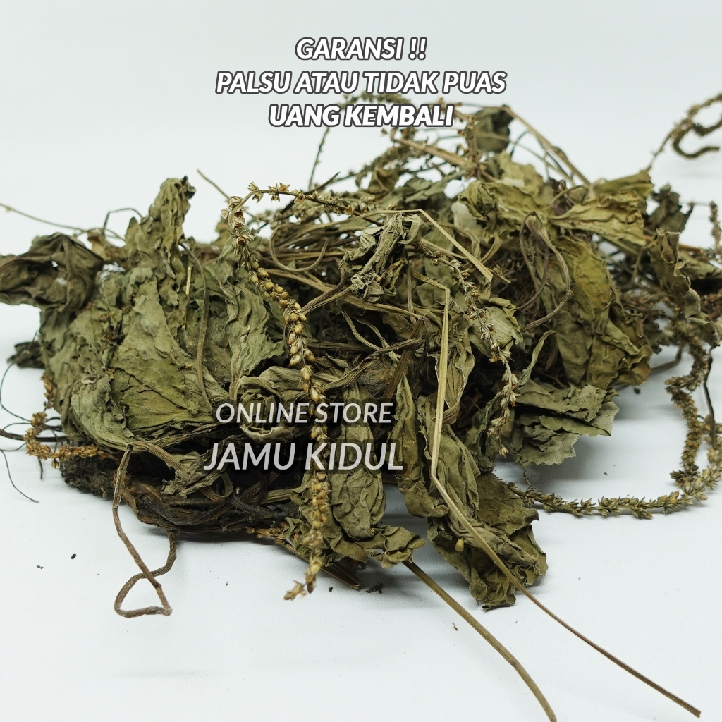 

Daun Sendok Kering 250gr Sendokan Asli Liar