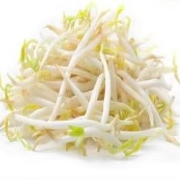 

Sayur Toge/ Tauge Segar