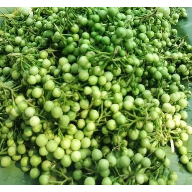 

INSTAN - LENCA / LEUNCA SUPER 250GRAM