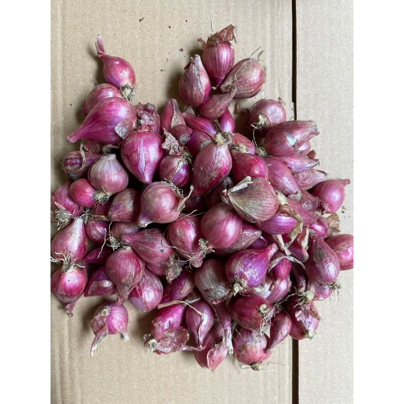 

Bawang Merah Lokal 1KG
